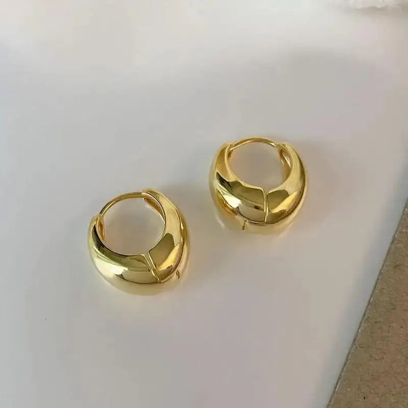 925 Silver Needle Korean Big Elegant Earrings For Woman Metal Jewelry 2026 Trending Vintage Geometric Women's Earrings Z40