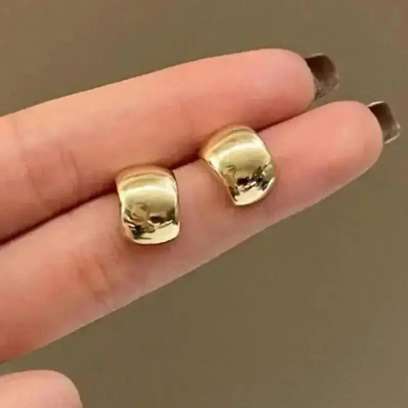 925 Silver Needle Korean Big Elegant Earrings For Woman Metal Jewelry 2026 Trending Vintage Geometric Women's Earrings Z40
