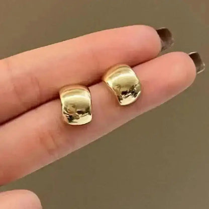 925 Silver Needle Korean Big Elegant Earrings For Woman Metal Jewelry 2026 Trending Vintage Geometric Women's Earrings Z40