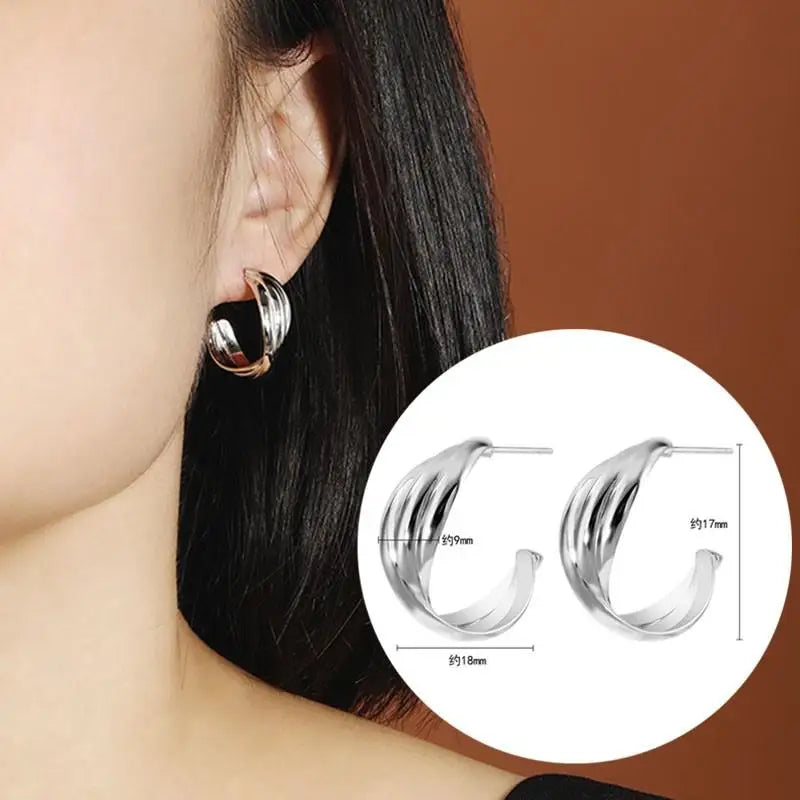 925 Silver Needle Korean Big Elegant Earrings For Woman Metal Jewelry 2026 Trending Vintage Geometric Women's Earrings Z40