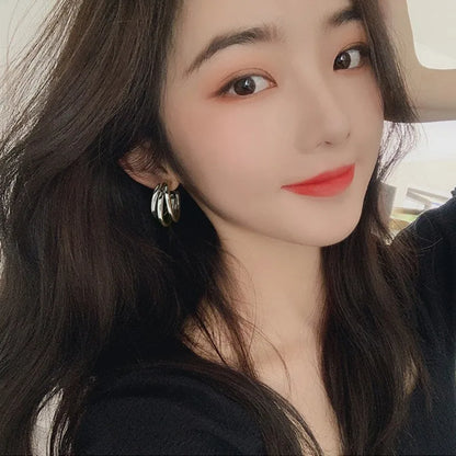 925 Silver Needle Korean Big Elegant Earrings For Woman Metal Jewelry 2026 Trending Vintage Geometric Women's Earrings Z40